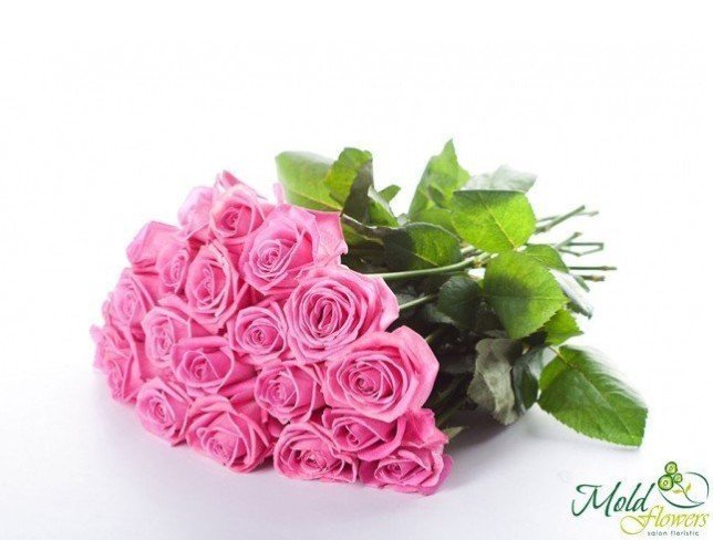 Trandafir roz 30-40 cm foto