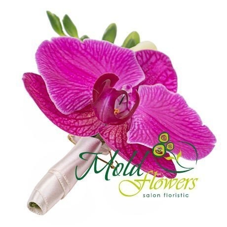 Бутоньерка  из розовой орхидеи фото