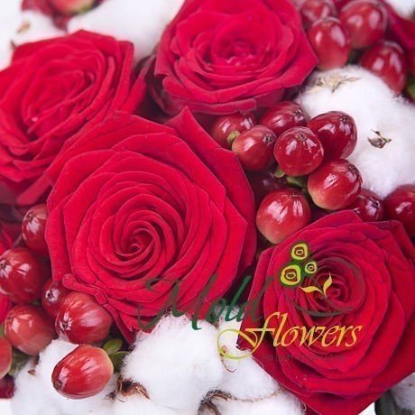 Букет невесты из красных роз, цветков хлопка, гиперикума фото