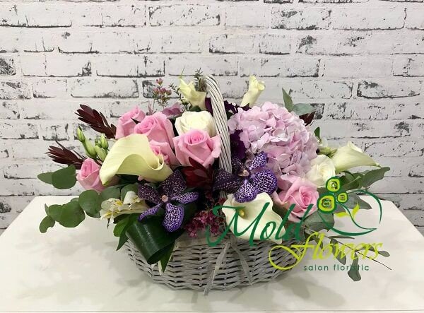 Корзина с белыми каллами, розовыми розами и гортензиями, фиолетовой орхидеей Ванда, леукодендрон, эвкалипт, аспидистра фото