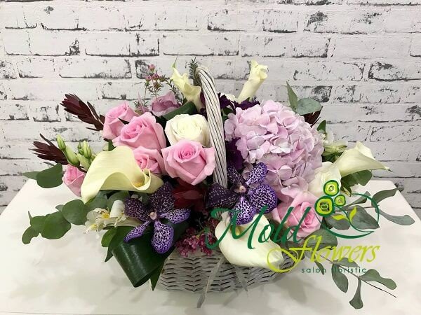 Корзина с белыми каллами, розовыми розами и гортензиями, фиолетовой орхидеей Ванда, леукодендрон, эвкалипт, аспидистра фото
