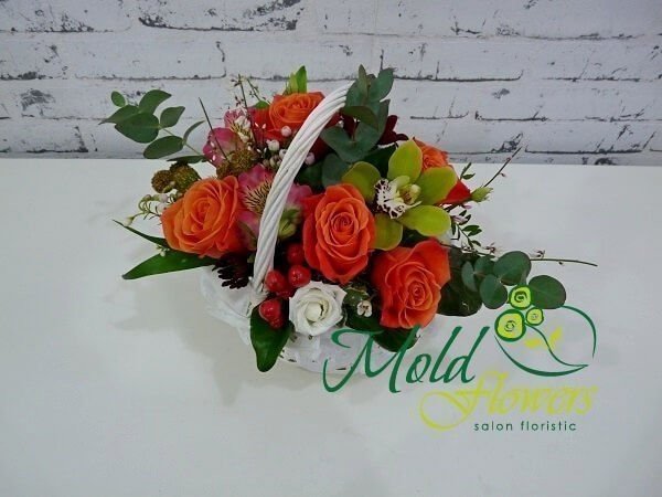 Белая корзина с оранжевыми розами, розовыми альстромериями, зеленой орхидеей, белыми розами и красным гиперикумом фото