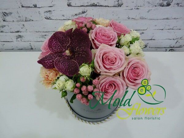 Серая коробка с розовыми розами, бордовой орхидеей Ванда, белыми кустовыми розами, оранжевыми гвоздиками, розовый гиперикум фото