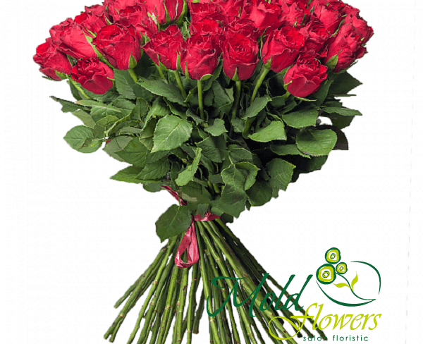 Роза красная "Kenya" 80 CM Фото