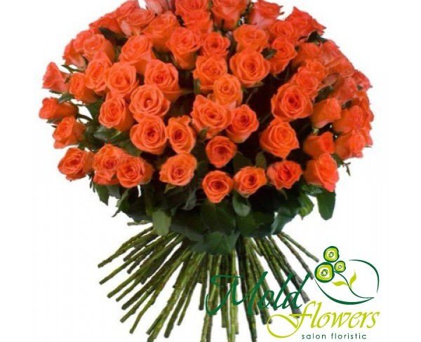 Роза оранжевая "Kenya" 50-60 CM Фото