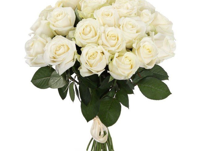 25 Trandafiri albi 50-60 cm foto