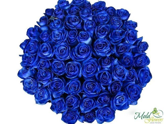 Trandafir albastru (la comanda, 10 zile) foto
