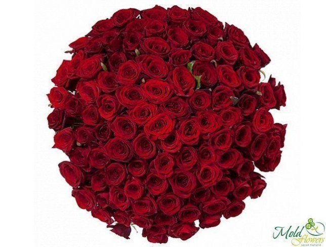 101 Trandafiri roșii 30-40 cm foto