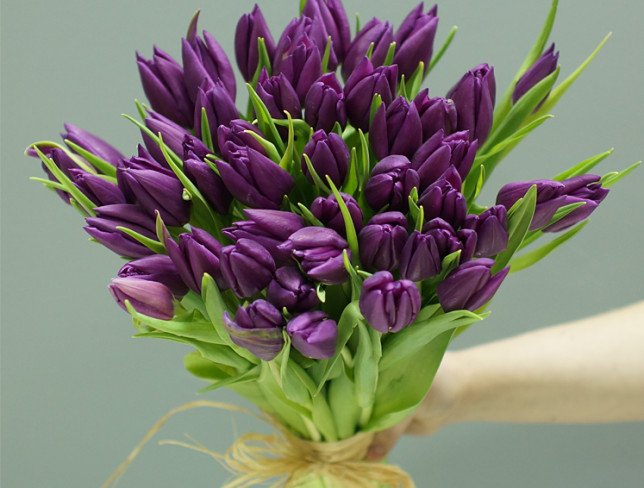 Purple tulip Dutch (Made to order,10 day) photo