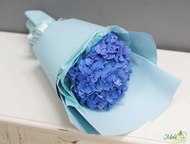 Bouquet of blue hydrangea photo