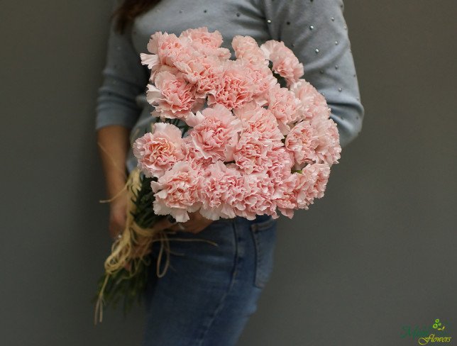 Гвоздика розовая (под заказ, 10 дней) Фото