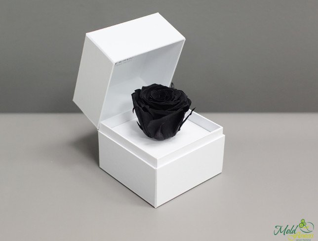 Белая коробочка с долговечной розой (чёрная) Фото