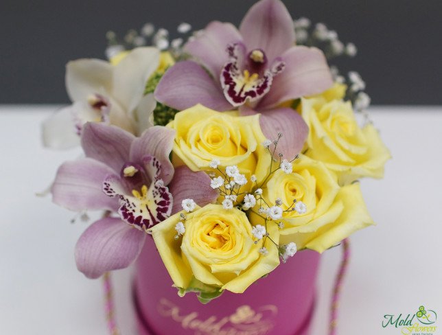 Маленькая розовая коробка с желтыми розами, белыми и бордовыми орхидеями фото