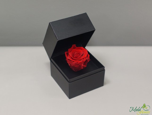 Cutiuța cu trandafir criogenat (roșu) foto