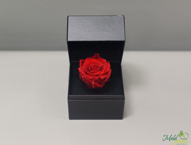 Cutiuța cu trandafir criogenat (roșu) foto