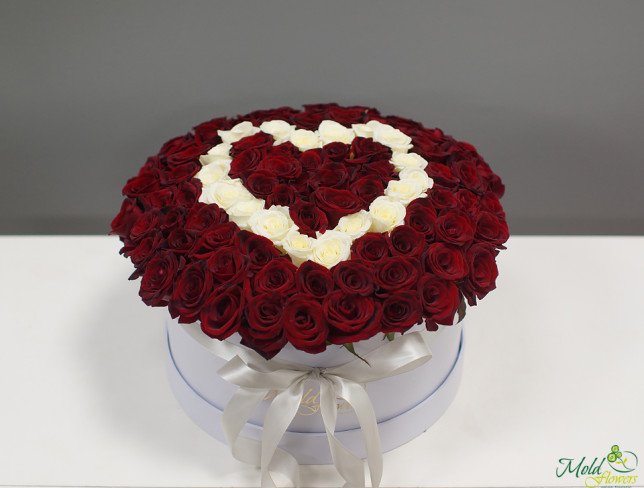 101 white-red roses with a heart in a box photo