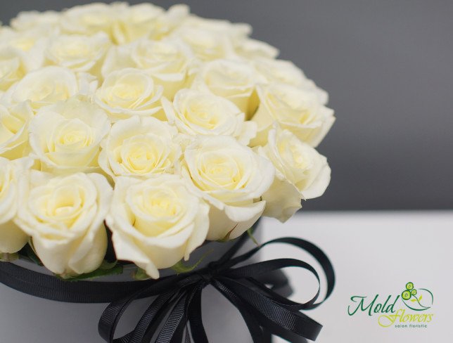 Trandafiri albi în cutie sură (la comanda, 1 zile) foto