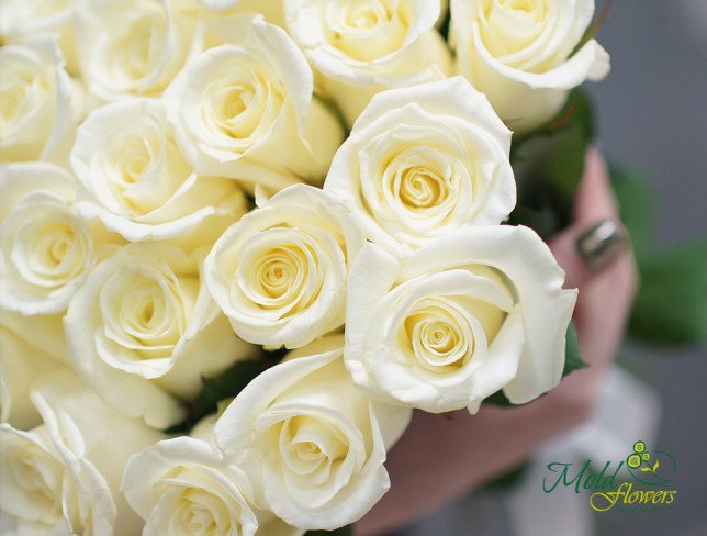 Buchet din trandafiri albi 30-40 cm de la moldflowers.md