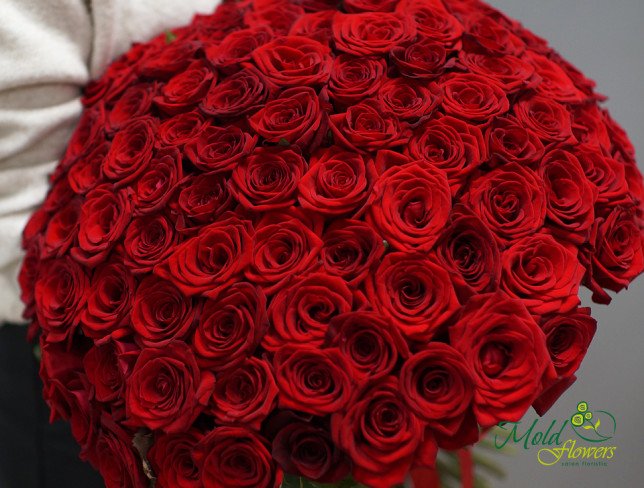 Buchet din 101 trandafiri rosii 50-60 cm de la moldflowers.md