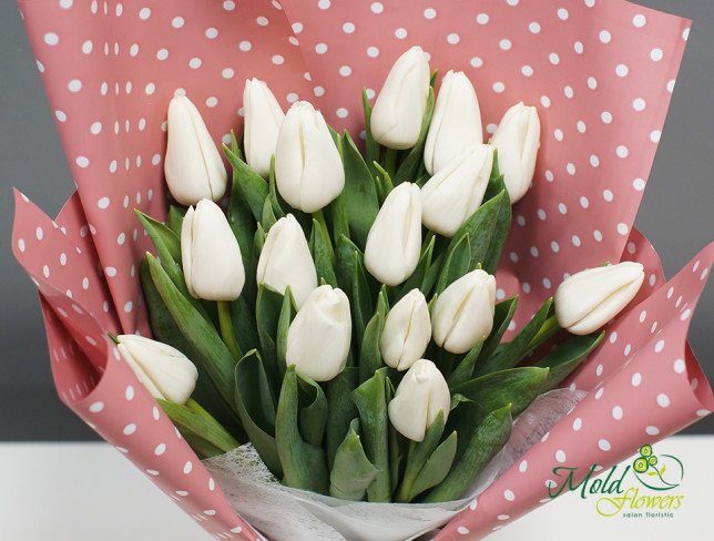 Букет из белых тюльпанов  фото