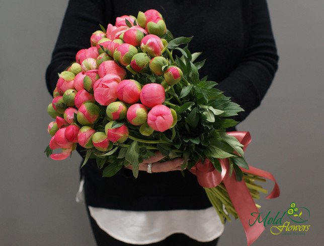 Bouquet of Dutch Coral Peonies from moldflowers.md