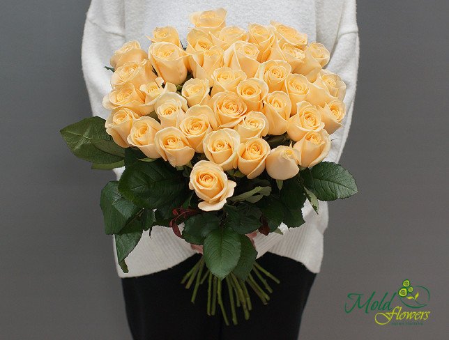 Роза кремовая 50-60 см Фото