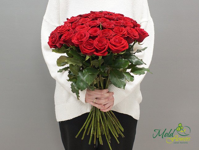 Trandafir roșu olandez 50-60 cm foto