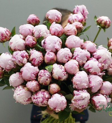 Bujor olandez roz pal -1 buc (LA COMANDA, 10 zile) foto 394x433