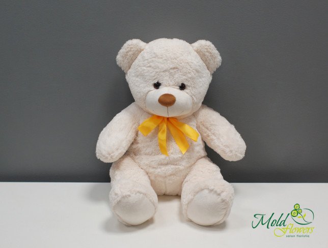 Small Teddy Bear H=60 cm photo