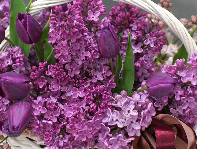 Корзина с фиолетовыми тюльпанами и сирень Фото