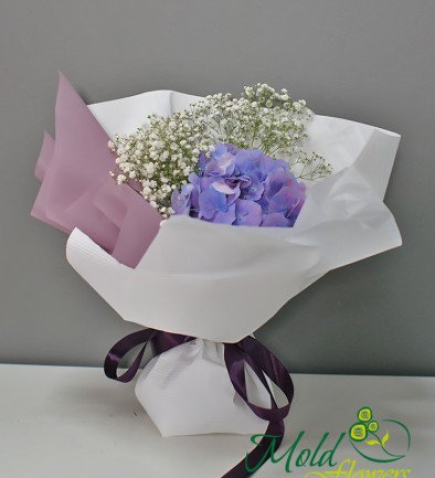 Bouquet with purple hydrangea and white gypsophila №2 photo 394x433