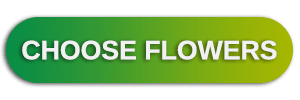 Choose flowers