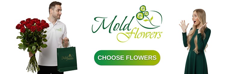 Choose flowers