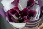 Buchet din 9 cale mov — foto 2