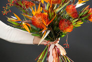 Grafica exotica — foto 3