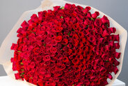 301 trandafiri rosii olandezi 60 cm — foto 1