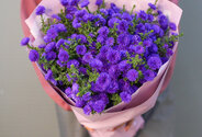 Bouquet of 19 Purple Asters — photo 1
