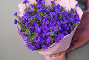 Bouquet of 19 Purple Asters — photo 2