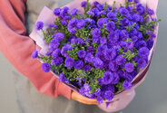 Bouquet of 19 Purple Asters — photo 3