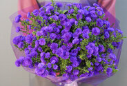 Buchet (L) din 29 de astre mov — foto 1