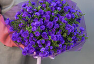 Buchet (L) din 29 de astre mov — foto 2
