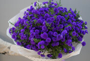 Buchet (XL) din 51 de astre mov — foto 2