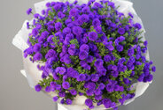 Buchet (XL) din 51 de astre mov — foto 4