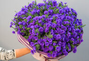 Buchet (XXL) din 75 de astre mov — foto 3