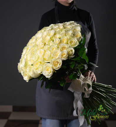 Buchet din 101 de trandafiri albi 70 cm