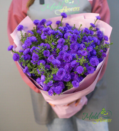 Bouquet of 19 Purple Asters