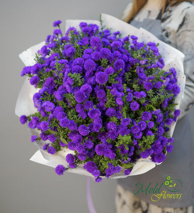 Buchet (XL) din 51 de astre mov