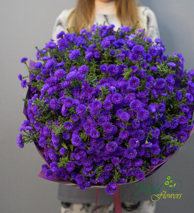 Buchet (XXL) din 75 de astre mov