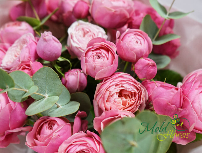 Buchet de trandafiri de tufa roz "Silvia Pink" — foto 3