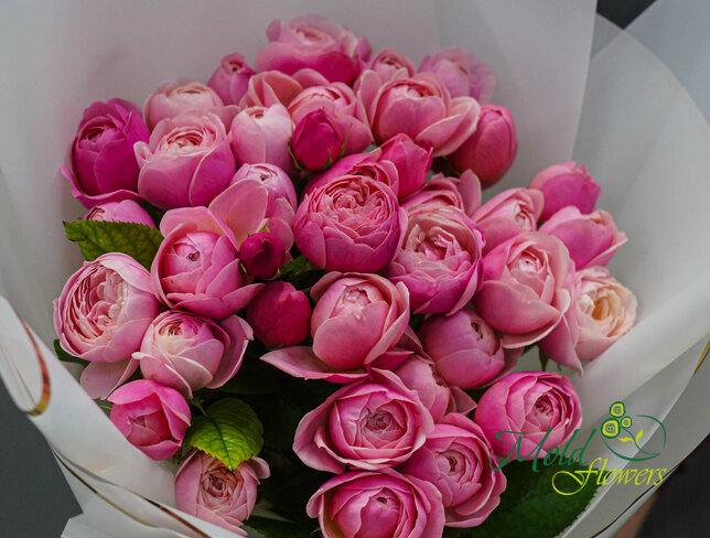 Bouquet of 25 Silva Pink roses — photo 3